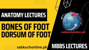 BONES OF FOOT & DORSUM OF FOOT Lecture – Anatomy Lectures – MBBS Lectures