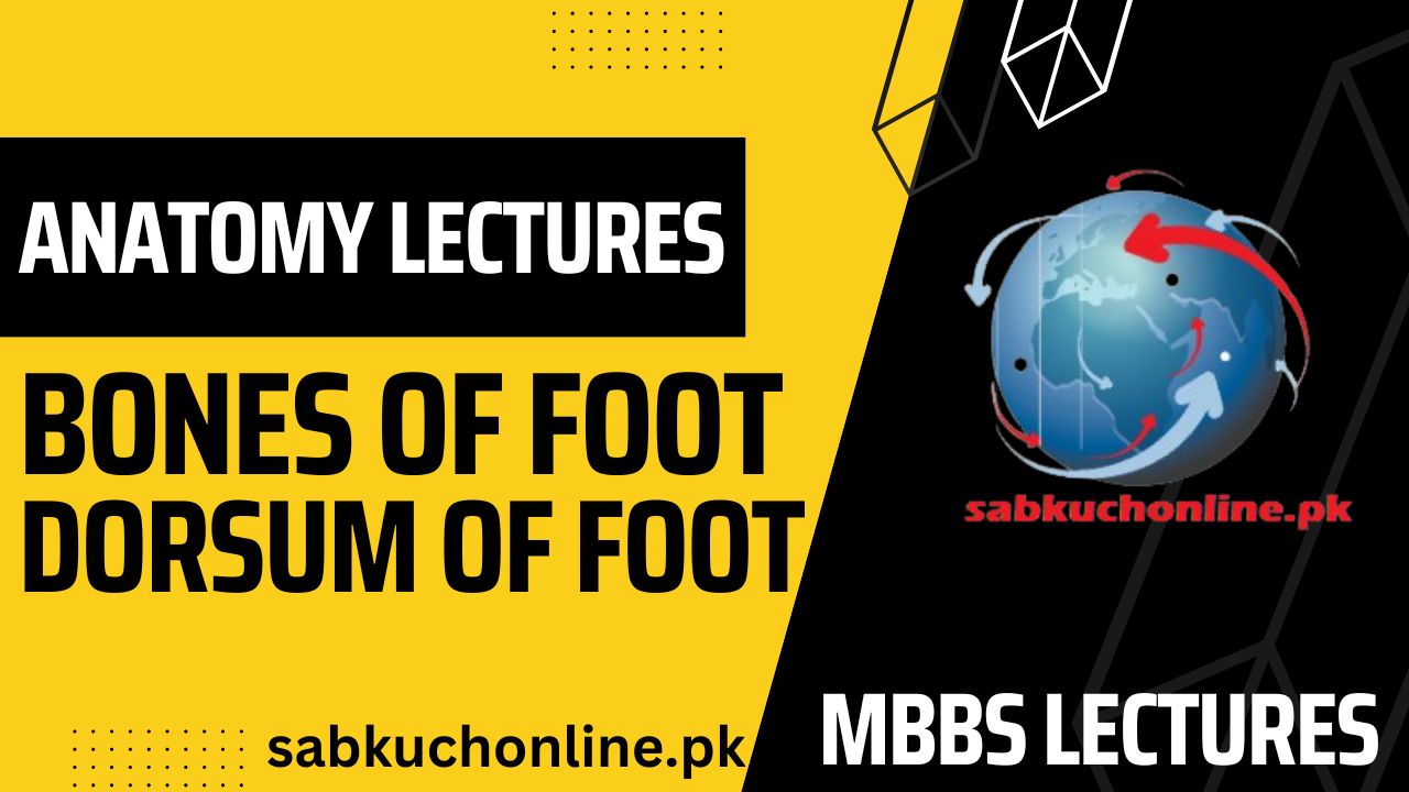 BONES OF FOOT & DORSUM OF FOOT Lecture - Anatomy Lectures - MBBS Lectures