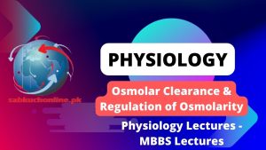 Osmolar Clearance & Regulation of Osmolarity – Physiology Slideshow – Physiology Lectures – MBBS Lectures