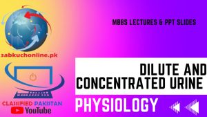 DILUTE AND CONCENTRATED URINE Physiology Lecture – MBBS Lectures