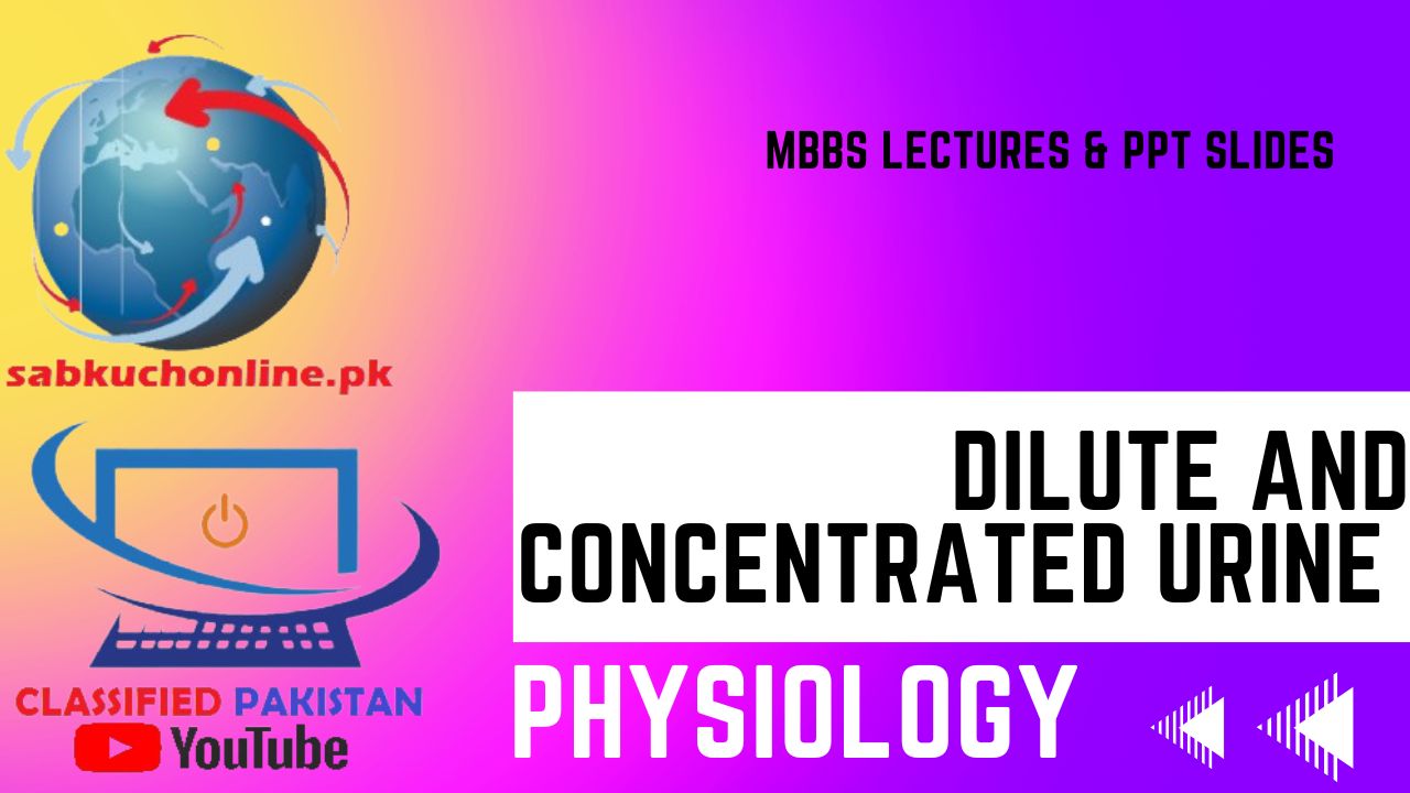 DILUTE AND CONCENTRATED URINE Physiology Lecture - MBBS Lectures