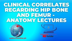 Clinical correlates regarding Hip Bone and Femur – Anatomy Lectures
