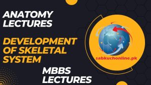 DEVELOPMENT OF SKELETAL SYSTEM Lecture – Anatomy Lectures – MBBS Lectures