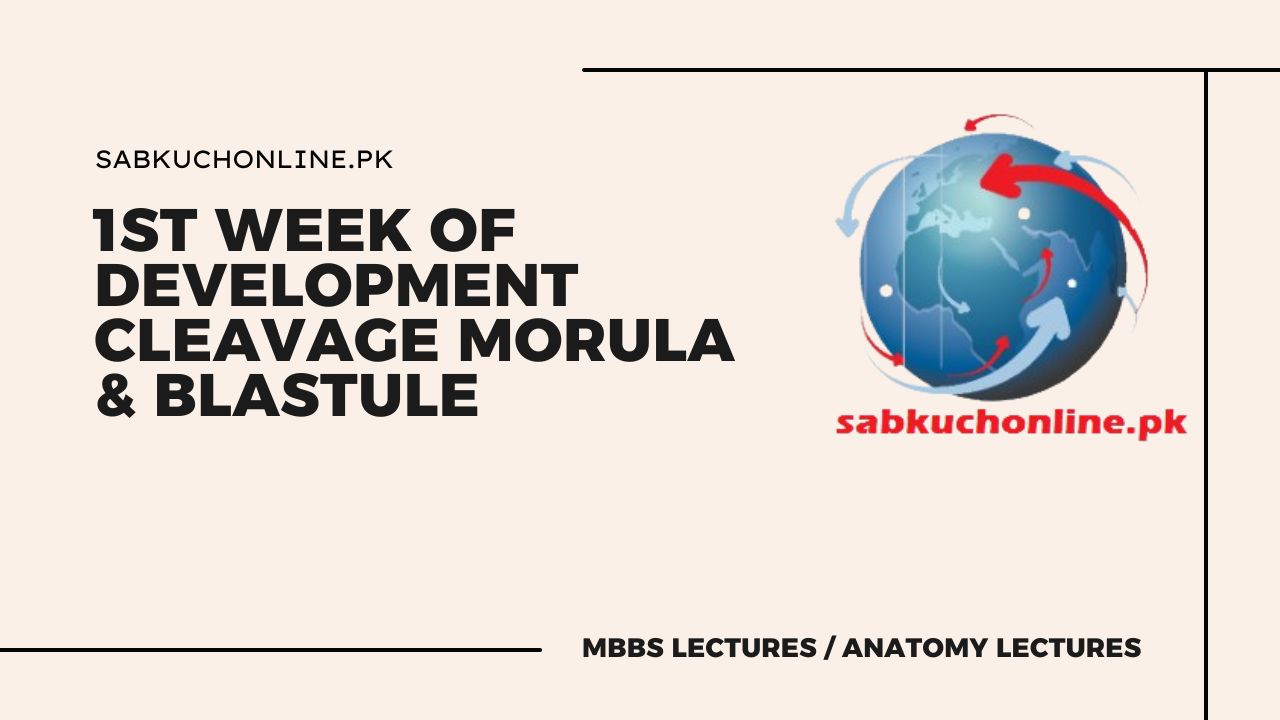 1st WEEK OF DEVELOPMENT Cleavage Morula & Blastule Lectures - Anatomy Lectures - MBBS Lectures