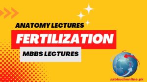 FERTILIZATION Lecture – Anatomy Lectures – MBBS Lectures
