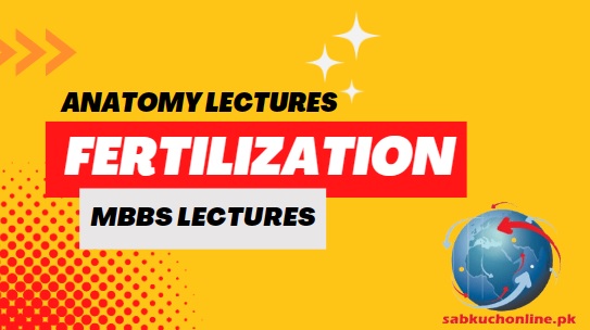 FERTILIZATION Lecture – Anatomy Lectures – MBBS Lectures