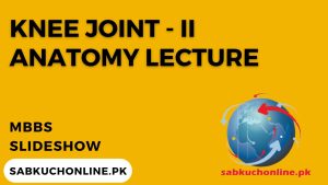 Knee Joint II Lecture – Anatomy ppt Lectures – MBBS Lectures