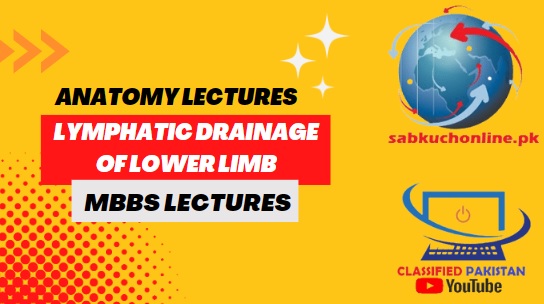 LYMPHATIC DRAINAGE OF LOWER LIMB Lecture - Anatomy Lectures - MBBS Lectures