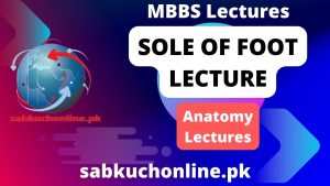 SOLE OF FOOT Lecture – Anatomy Lectures – MBBS Lectures