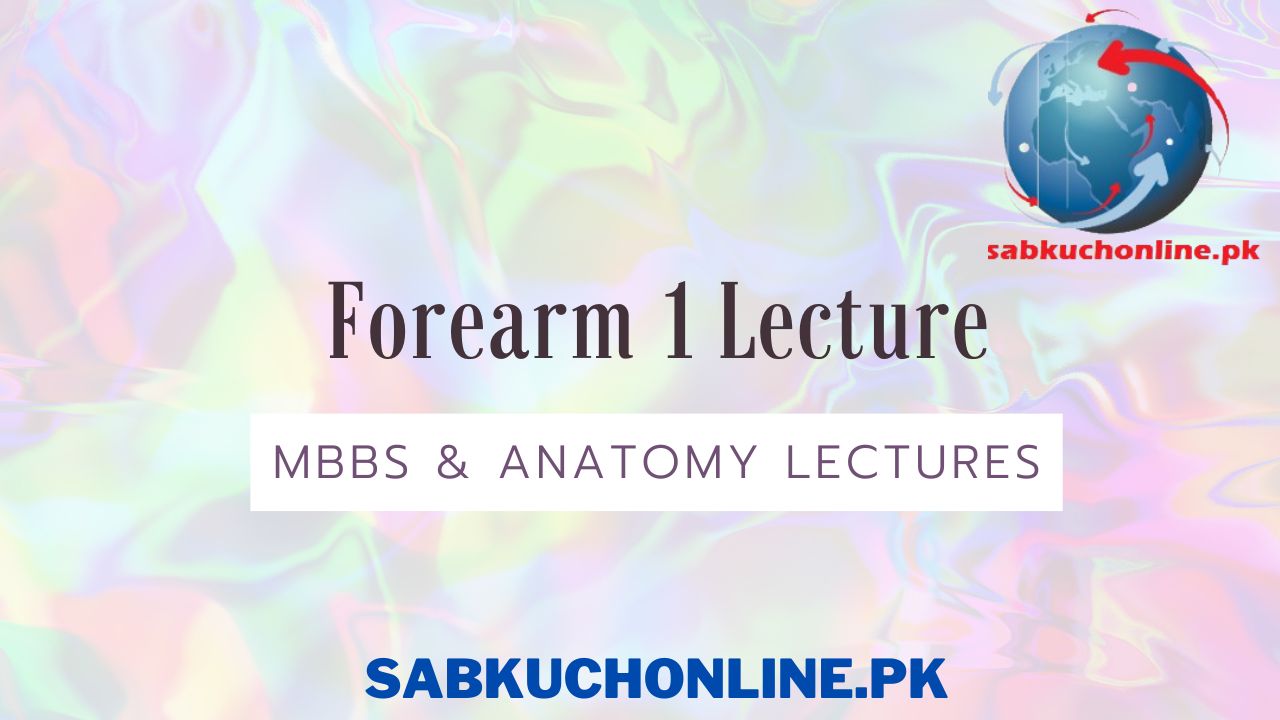 Forearm 1 Lecture