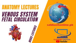 VENOUS SYSTEM 4 – Fetal Circulation Lecture – Anatomy Lectures – MBBS Lectures