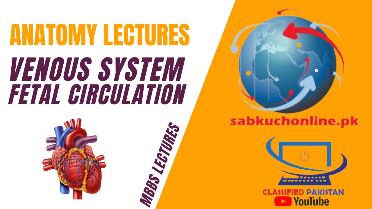VENOUS SYSTEM 4 – Fetal Circulation Lecture – Anatomy Lectures – MBBS Lectures