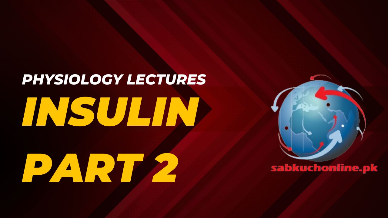 Insulin part 2 Physiology Lectures Slideshow