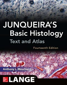 Junquiera Basic Histology pdf book free download