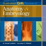 Lippincot’s Anatomy & Embryology pdf book free download