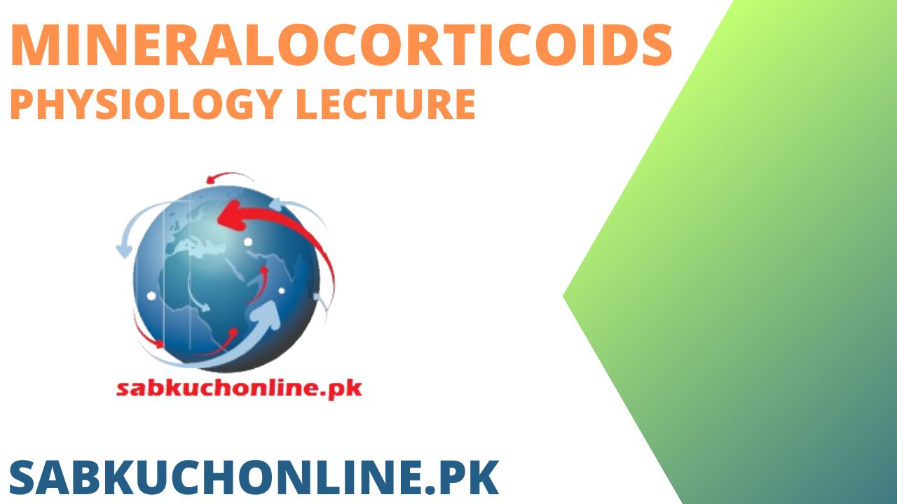 Mineralocorticoids - Physiology Lectures Slideshow