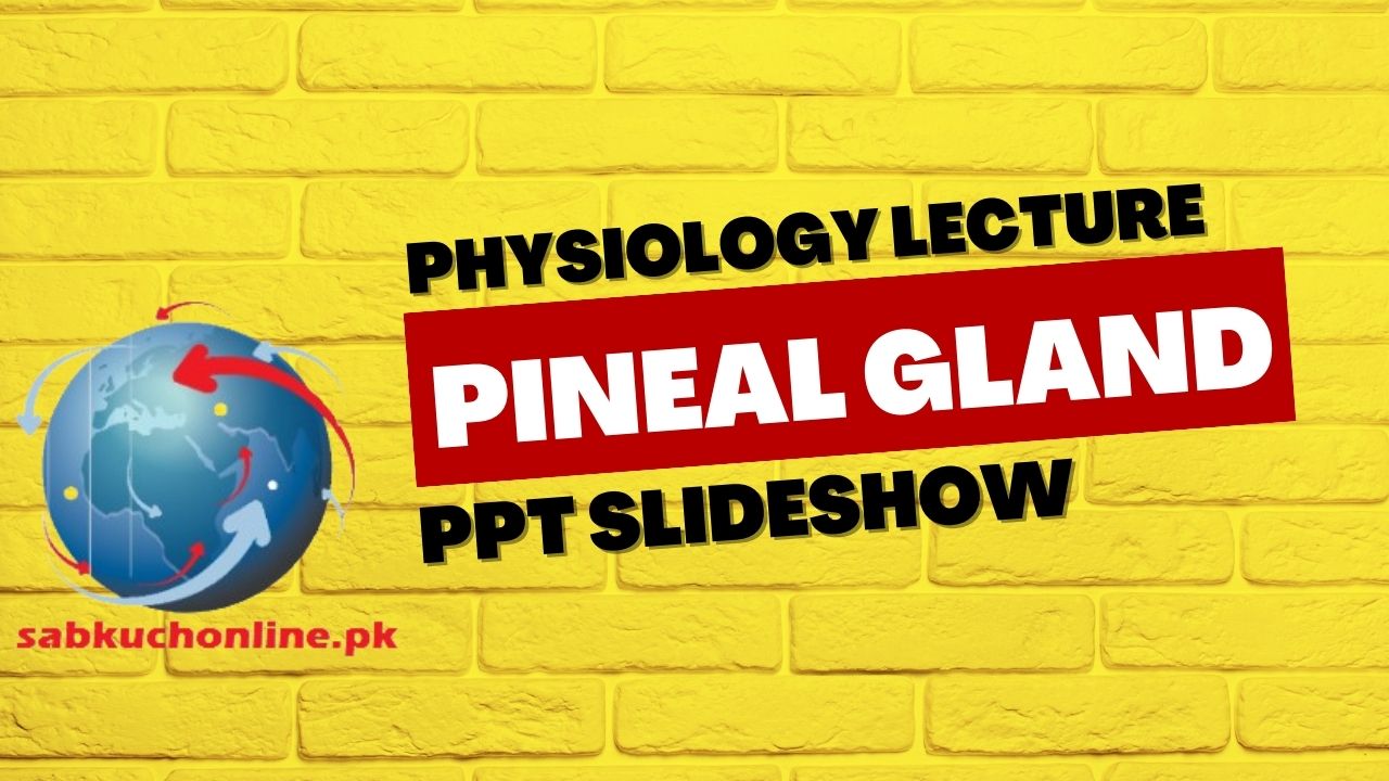 Pineal Gland Physiology Lecture Slideshow