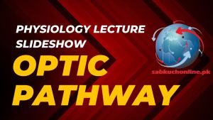 OPTIC PATHWAY Physiology Lecture Slideshow