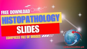 Histopathology Slides images free download