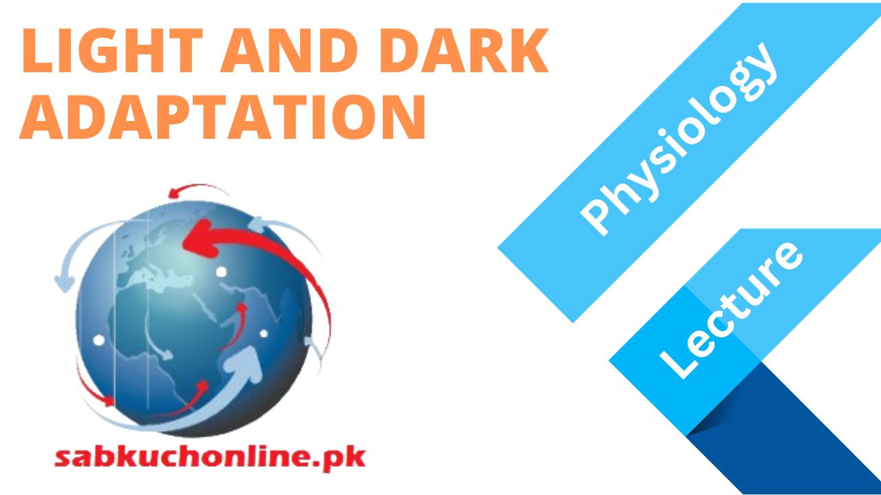 LIGHT AND DARK ADAPTATION Physiology Lecture