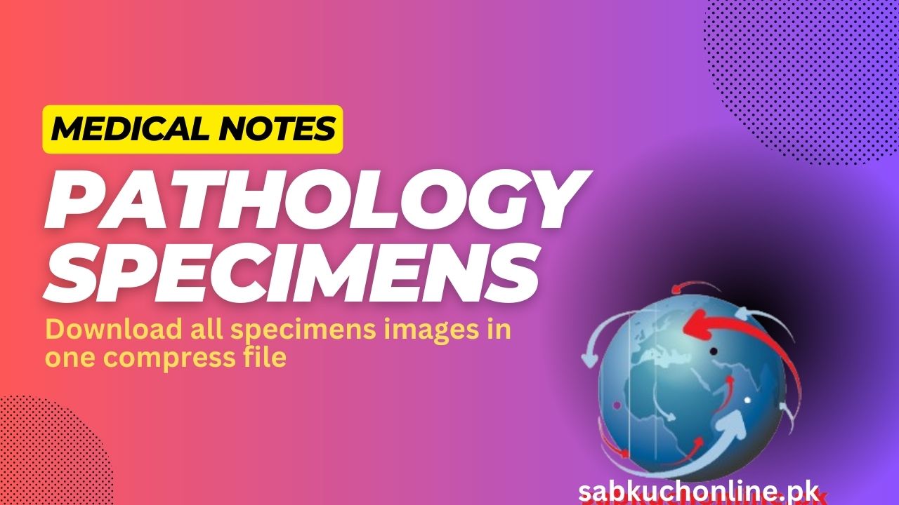Pathology Specimens Images – Download compress file
