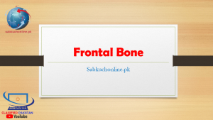 Frontal Bone PowerPoint Lecture Slideshow