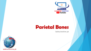 Parietal bones Lecture slideshow