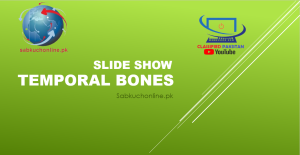 Temporal Bone Lecture Slideshow | Anatomy Lectures | MBBS Notes