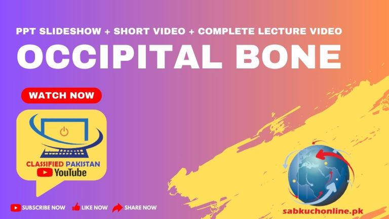 Occipital bone | Short Video | PPT Slideshow | Occipital bone video Lecture