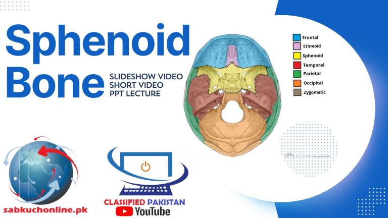 Sphenoid bone ppt Lecture | Sphenoid bone short video | Sphenoid bone Slideshow video