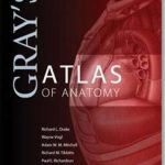 Gray’s Atlas of Anatomy pdf book free download
