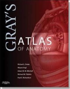 Gray’s Atlas of Anatomy pdf book free download
