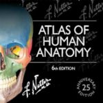 Netters Atlas of Human Anatomy Sixth Edition pdf free download