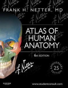 Netters Atlas of Human Anatomy Sixth Edition pdf free download