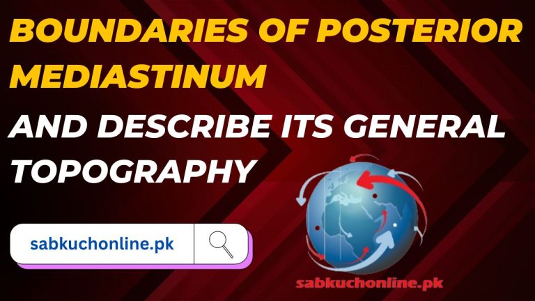 Boundaries of posterior mediastinum and describe its general topography