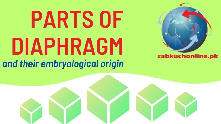 Parts of diaphragm and their embryological origin