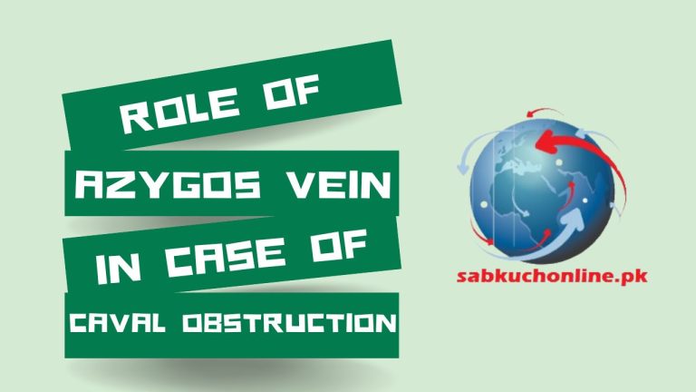 Role of azygos vein in case of caval obstruction