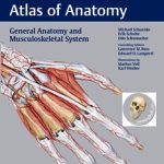 THIEME Atlas of Anatomy pdf book free download
