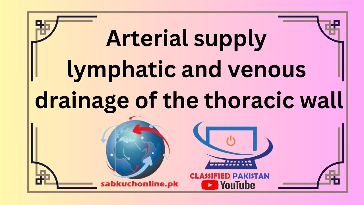Arterial supply, lymphatic and venous drainage of the thoracic wall
