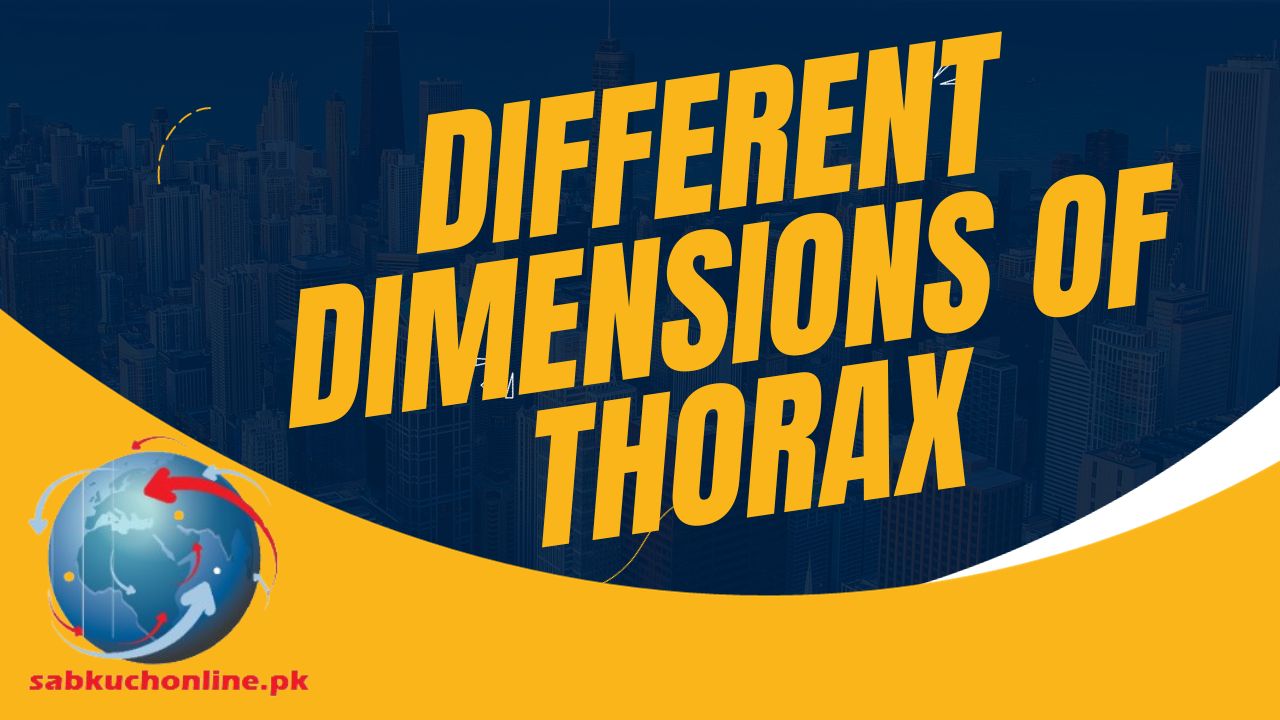 Dimensions of thorax | Anatomy Lectures | Video Lectures