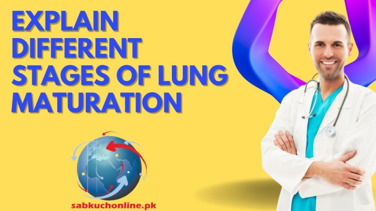 Explain different stages of lung maturation MBBS Lecture