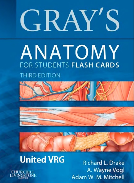 Gray’s Anatomy for students flash card third edition pdf book free download