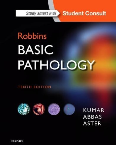 Robbins Basic Pathology Tenth Edition pdf book free download