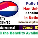 Han University Scholarships 2024 in Netherland Fully Funded