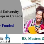 UdeM International Scholarships 2024 in Canada Fully Funded