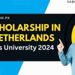 NL Scholarship in the Netherlands, Erasmus University 2024