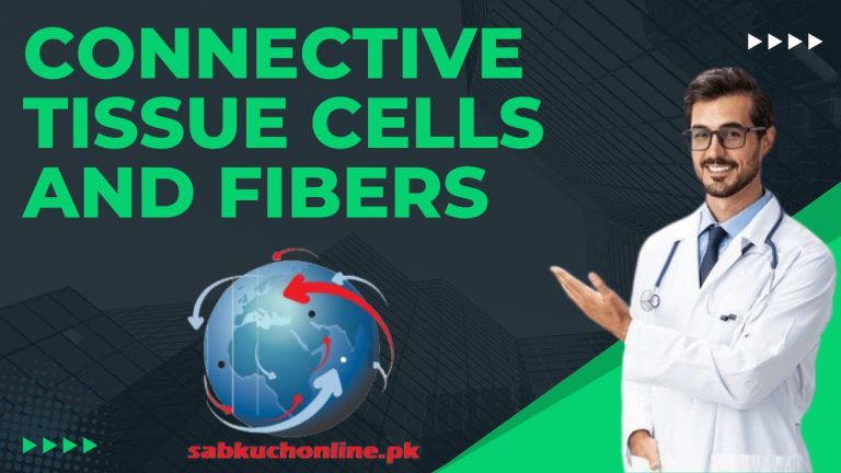 Connective Tissue cells and fibers Histology Lecture