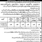 Government College Of Technology Sangla Hill Admissions