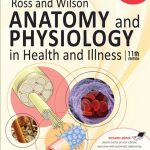 Ross Wilson Anatomy and physiology in health and illness 11th edition pdf book free download