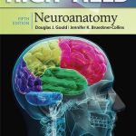 High Yield Neuroanatomy 5th edition pdf book free download